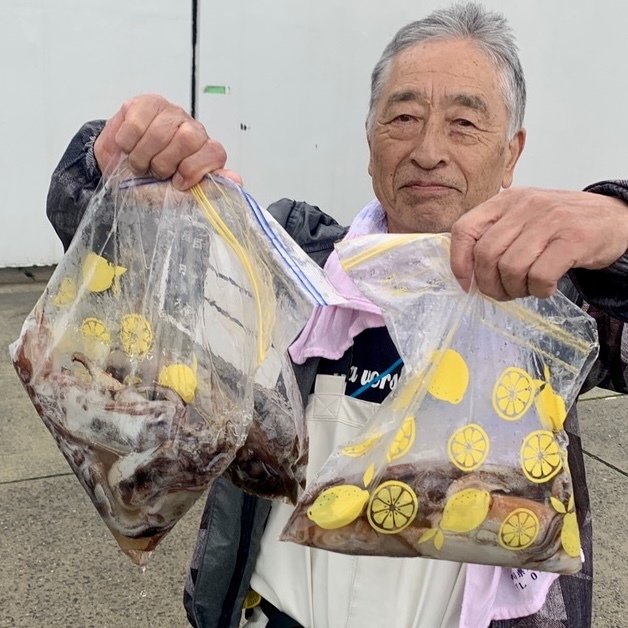 スルメイカ