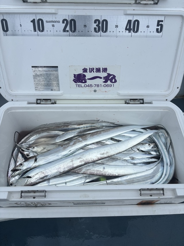 タチウオ
