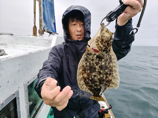 ヒラメ