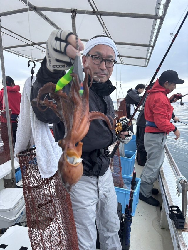 マダコ