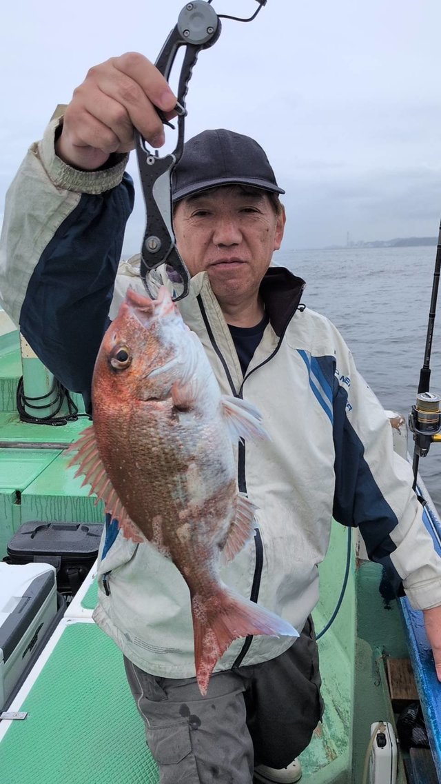 マダイ