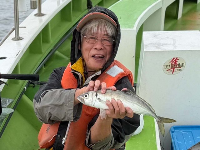 アジ(マアジ)