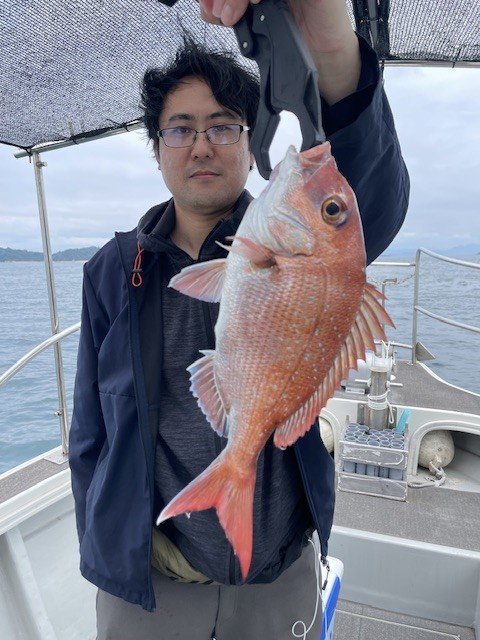 マダイ