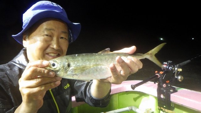 アジ(マアジ)