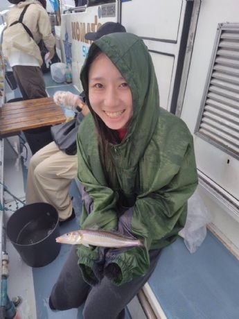シロギス