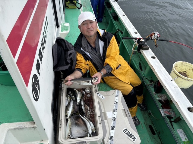 マアジ
