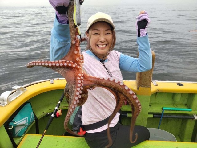 マダコ