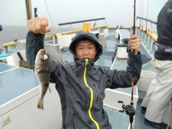 ショウサイフグ