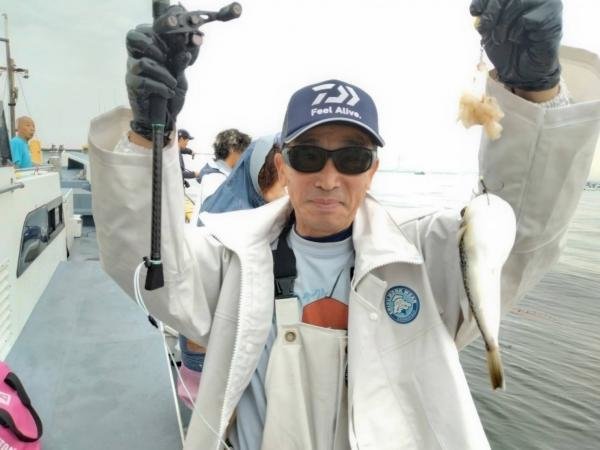ショウサイフグ
