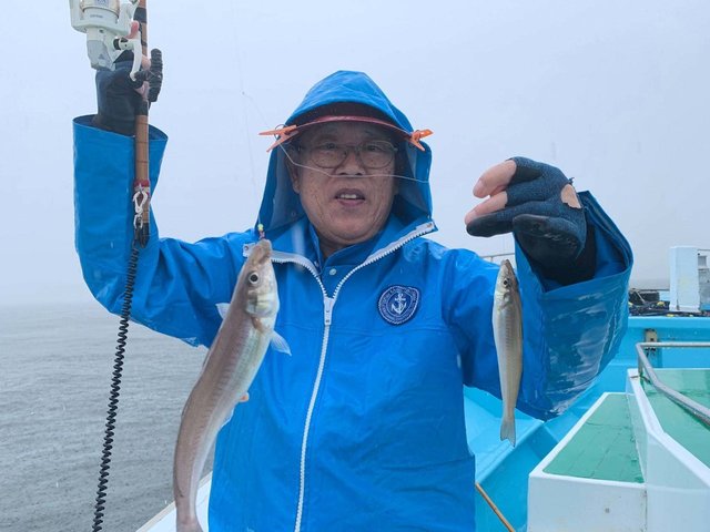 シロギス