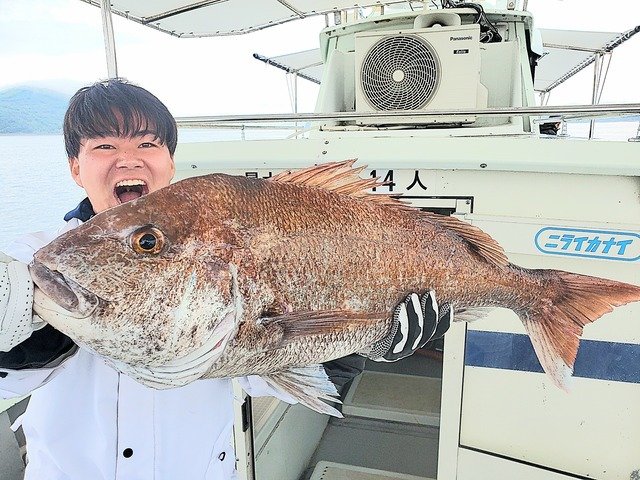 マダイ