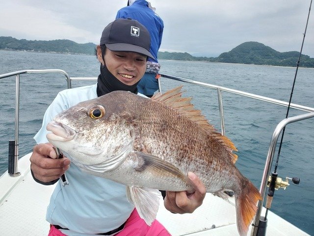 マダイ