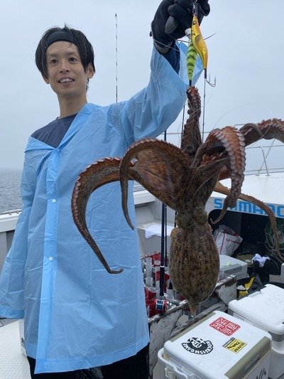 タコ(マダコ)