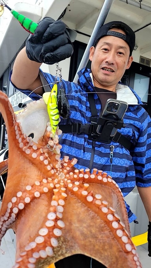 タコ(マダコ)