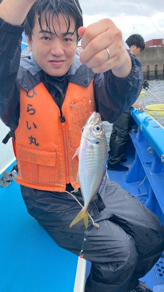 アジ(マアジ)