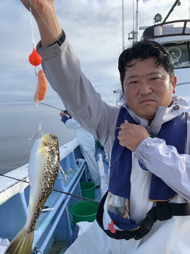 ショウサイフグ