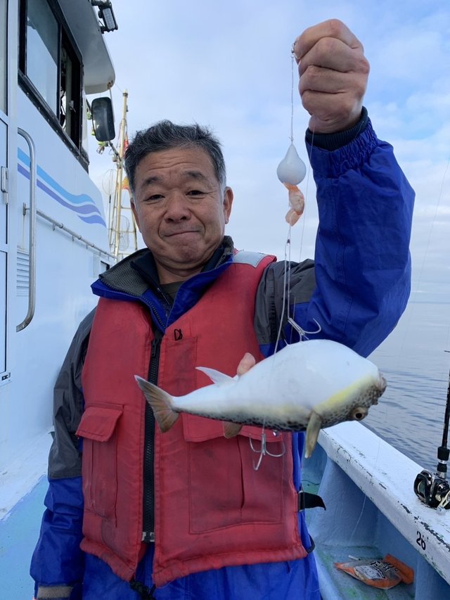 ショウサイフグ