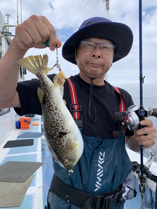 ショウサイフグ