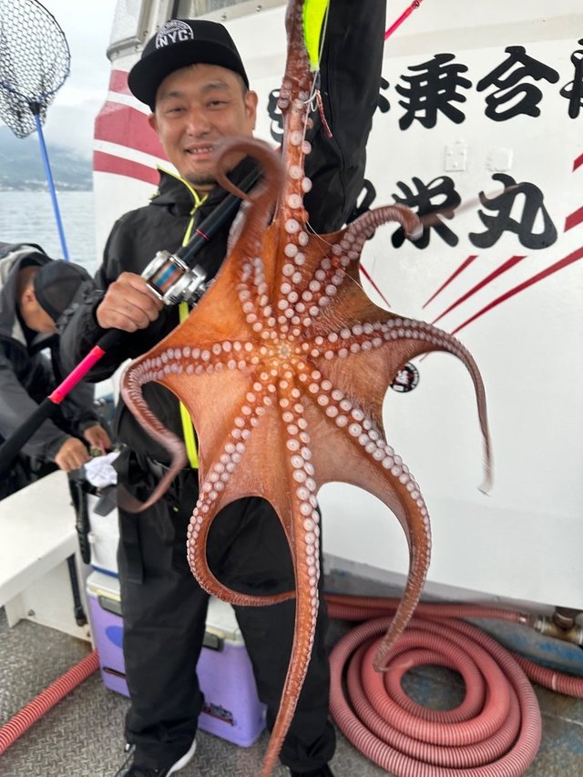 タコ(マダコ)