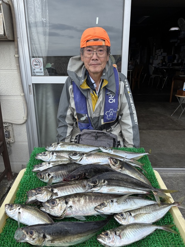 アジ(マアジ)