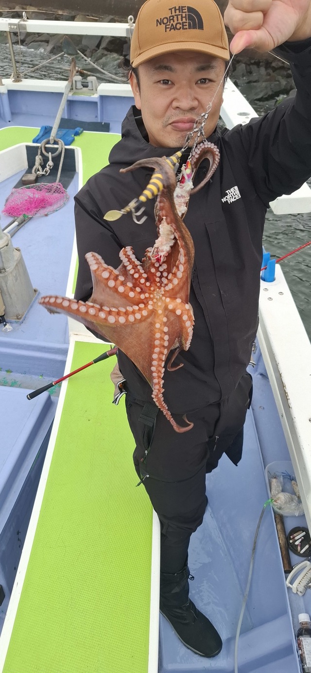 タコ(マダコ)