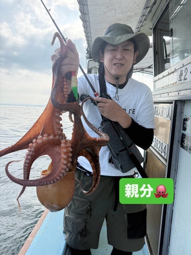 マダコ