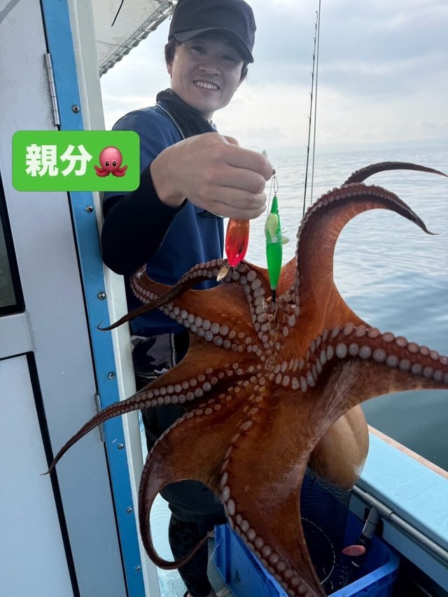 マダコ