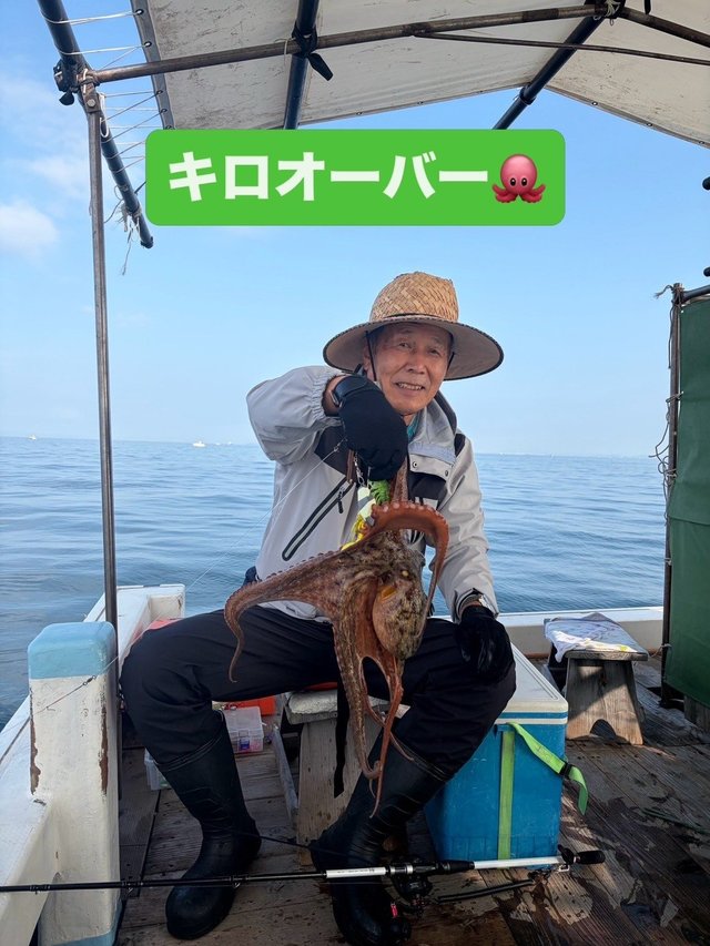 マダコ