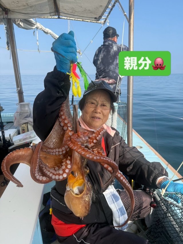 マダコ