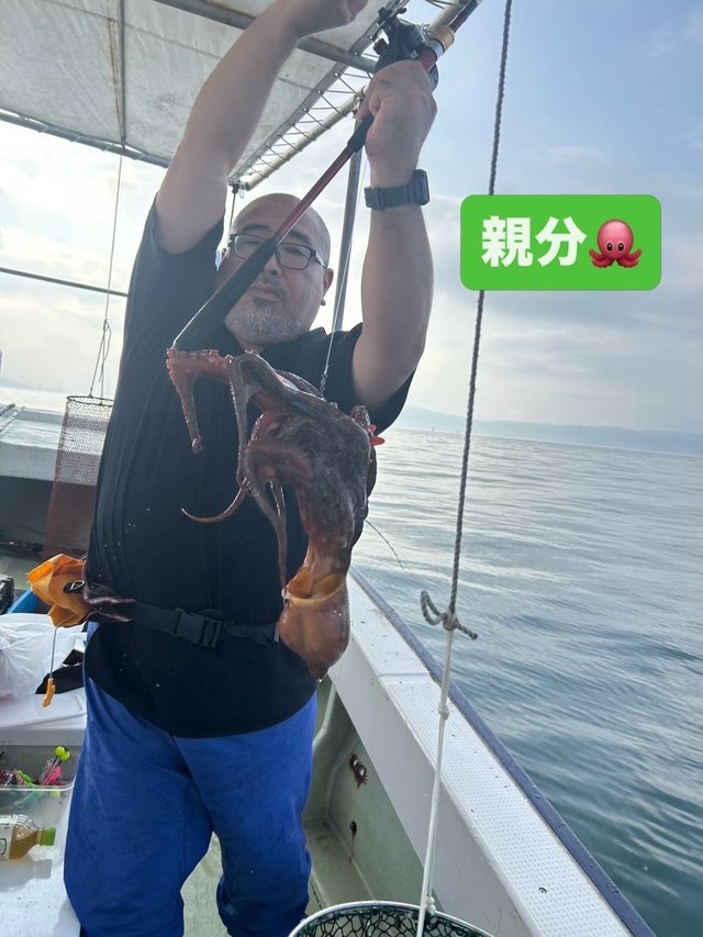 マダコ