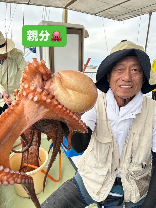 マダコ