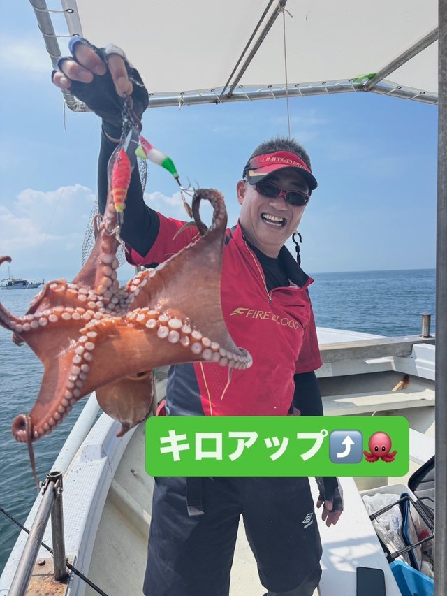 マダコ