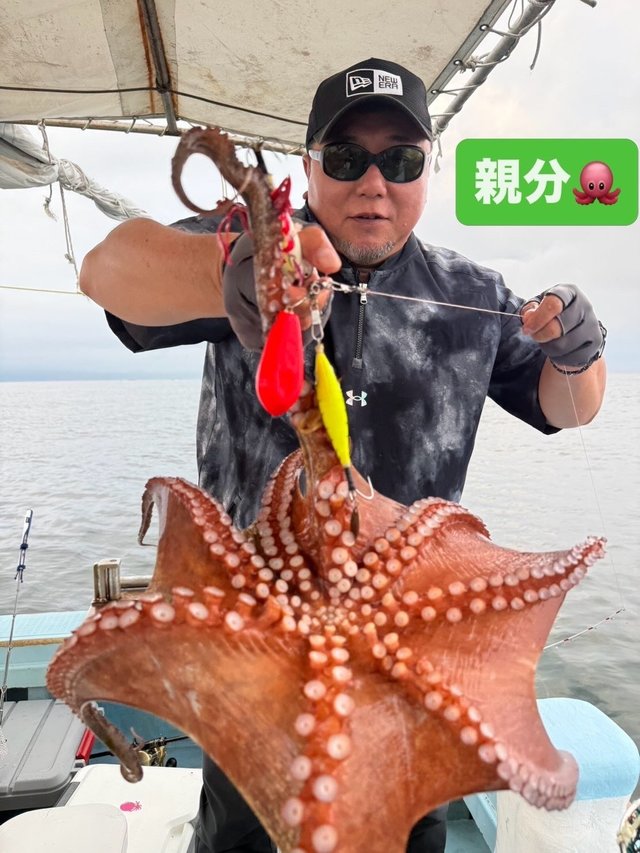 マダコ