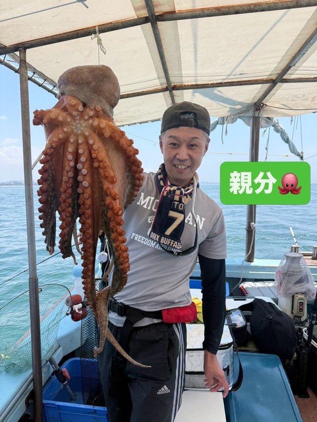 マダコ