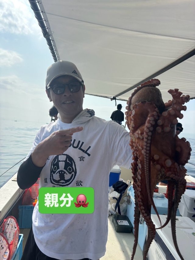 マダコ