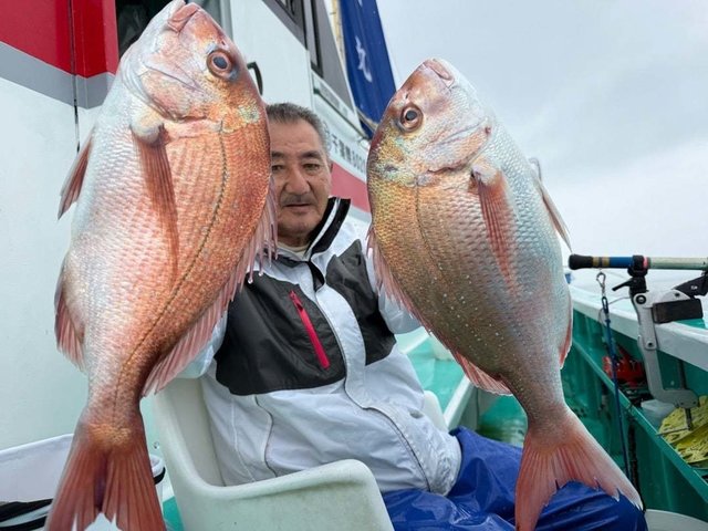 マダイ