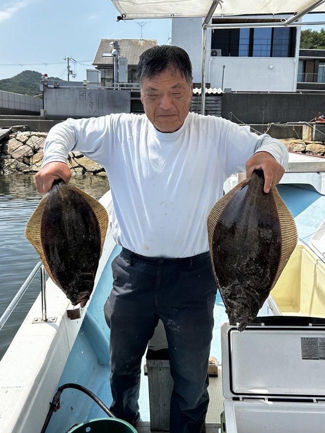ヒラメ