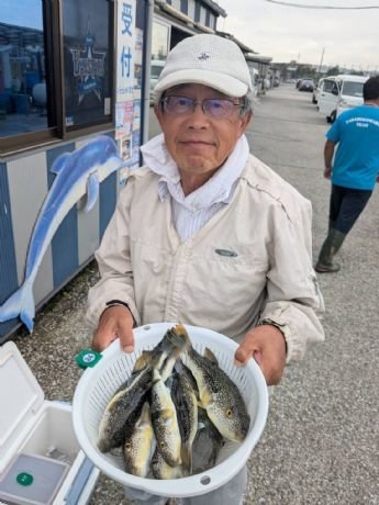 ショウサイフグ