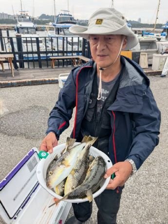 ショウサイフグ
