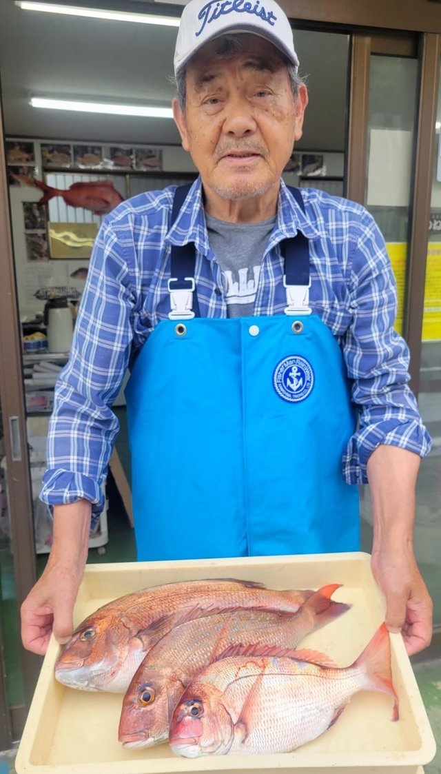 マダイ