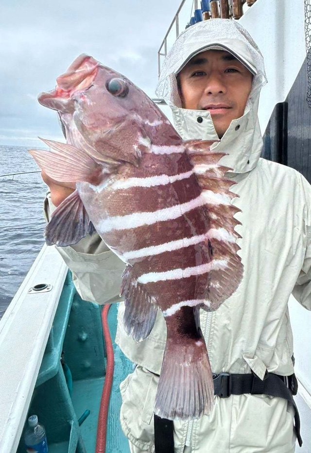 マハタ