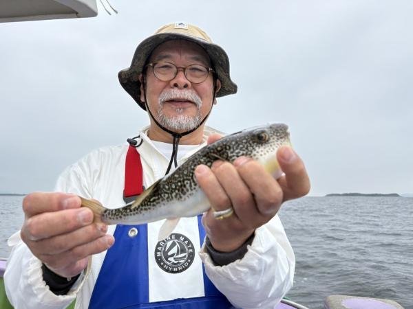 ショウサイフグ