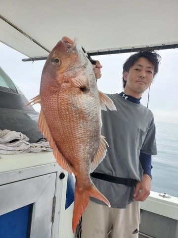 マダイ