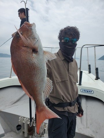 マダイ
