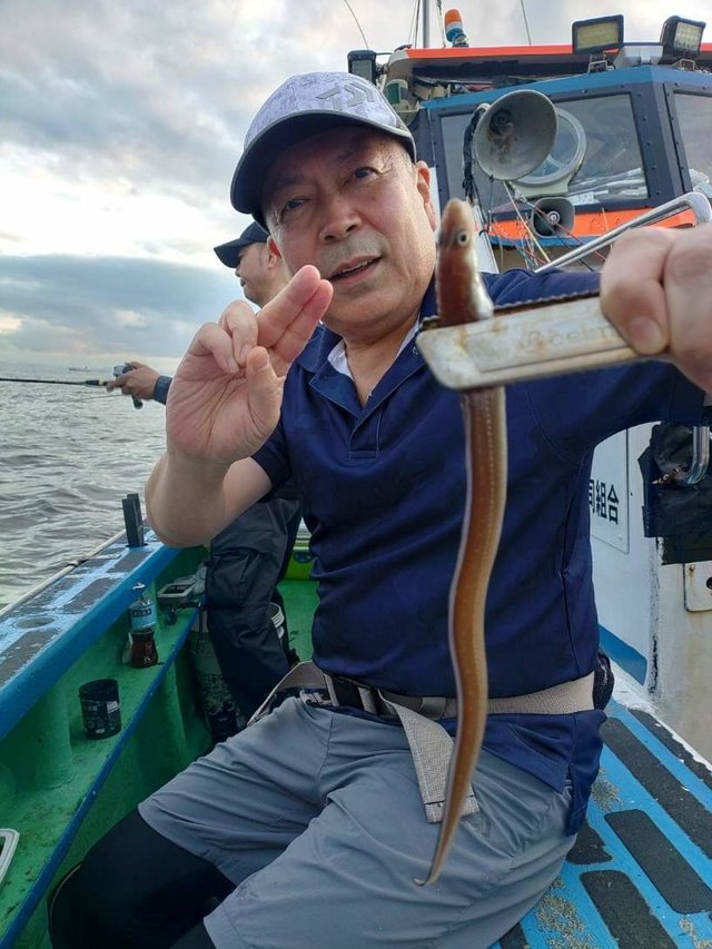 アナゴ(マアナゴ)