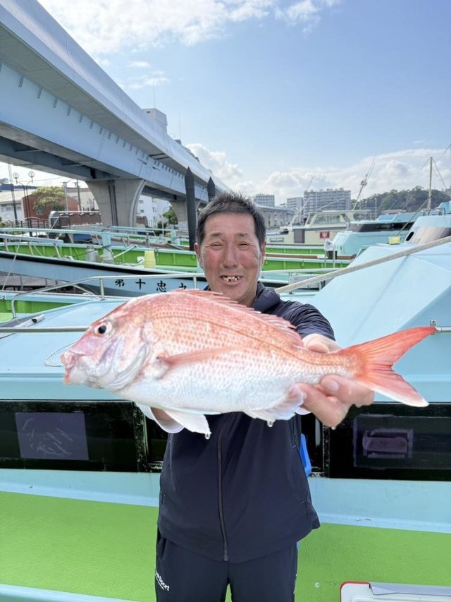 マダイ