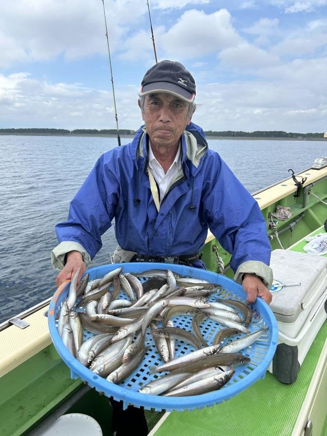 シロギス