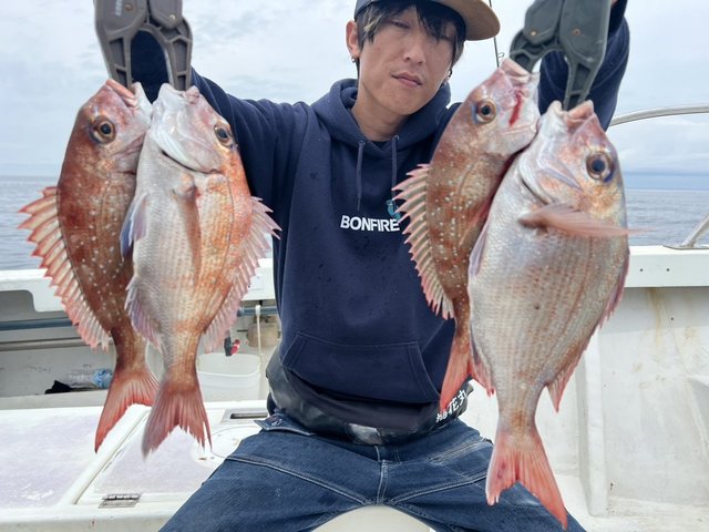 マダイ