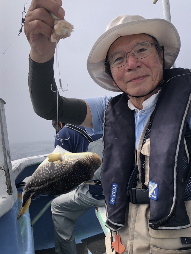 ショウサイフグ