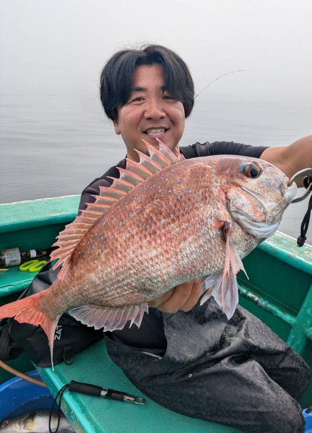 マダイ